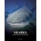 Sharks and Underwater Predators