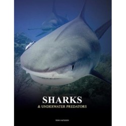 Sharks and Underwater Predators
