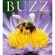 Buzz: A book of happiness for bee lovers