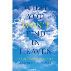 What You WON'T Find in Heaven