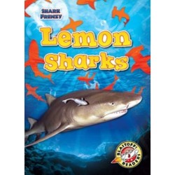 Lemon Sharks