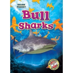 Bull Sharks
