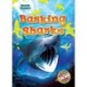 Basking Sharks