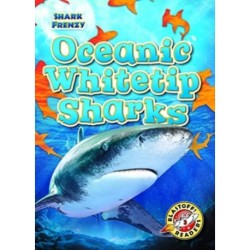 Oceanic Whitetip Sharks