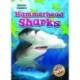 Hammerhead Sharks