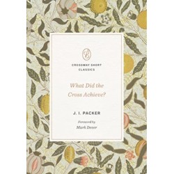 What Did the Cross Achieve?