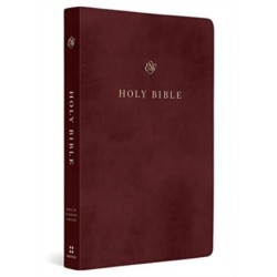 ESV Gift and Award Bible