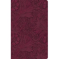 ESV Value Thinline Bible