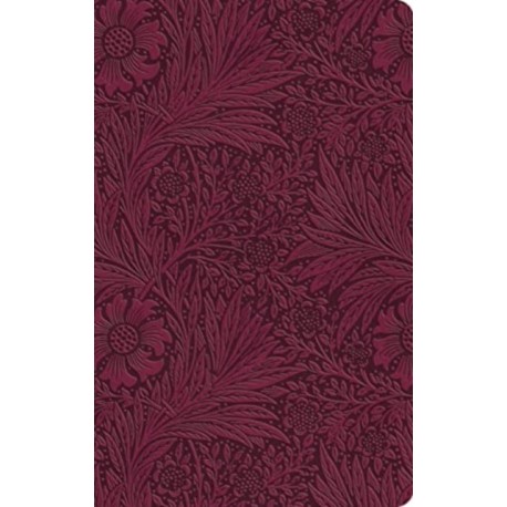 ESV Value Thinline Bible