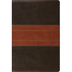 ESV Study Bible, Personal Size