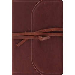 ESV Student Study Bible
