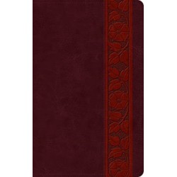 ESV Large Print Personal Size Bible, Red Letter