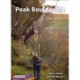 Peak Bouldering