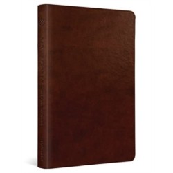 ESV New Testament with Psalms and Proverbs
