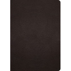 ESV Study Bible, Large Print