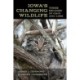 Iowa's Changing Wildlife: Three Decades of Gain and Loss