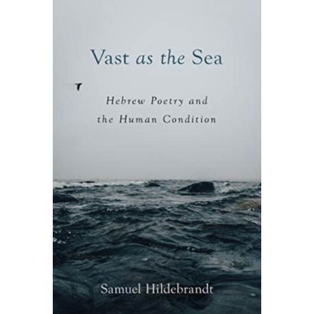 Vast as the Sea: Hebrew Poetry and the Human Condition