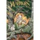Warriors: A Thief in ThunderClan (Full-Color Adventure)