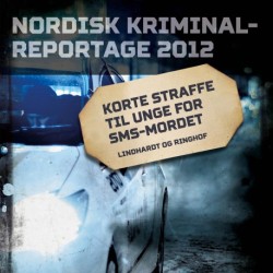 Korte straffe til unge for sms-mordet