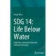 SDG 14: Life Below Water: A Machine-Generated Overview of Recent Literature