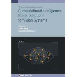 Computational Intelligence Based Solutions for Vision Systems