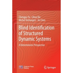 Blind Identification of Structured Dynamic Systems: A Deterministic Perspective