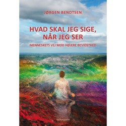 Hvad skal jeg sige, når jeg ser?: Menneskets vej mod højere bevidsthed