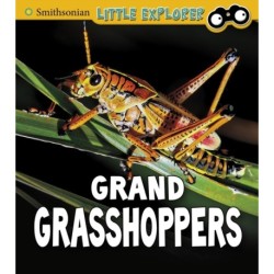 Grand Grasshoppers