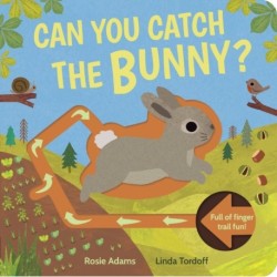 Can You Catch the Bunny?: Can You Catch the Bunny?