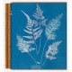 Anna Atkins: Cyanotypes