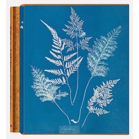 Anna Atkins: Cyanotypes