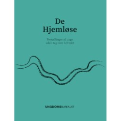 De Hjemløse: Fortællinger af unge uden tag over hovedet