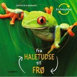 Fra haletudse til frø