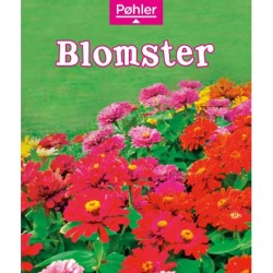 Blomster