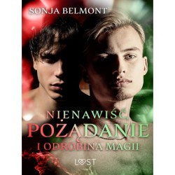 Nienawiść, pożądanie i odrobina magii: 3 opowiadania erotyczne inspirowane dynamiką Harry Potter/Draco Malfoy