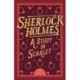 Sherlock Holmes: A Study in Scarlet: A Study in Scarlet