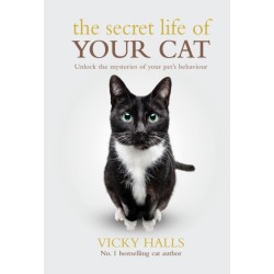The Secret Life Of Your Cat