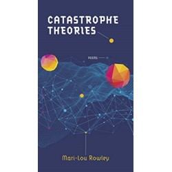 Catastrophe Theories