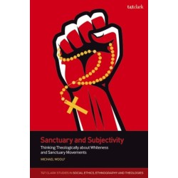 Sanctuary and Subjectivity: Thinking Theologically about Whiteness and Sanctuary Movements