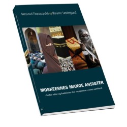 MOSKEERNES MANGE ANSIGTER: hvilke roller og funktioner har moskeerne i vores samfund