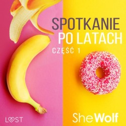 Spotkanie po latach 1 – opowiadanie erotyczne