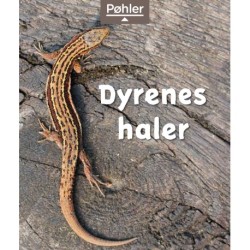 Dyrenes haler