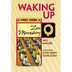 Waking Up: A Week Inside a Zen Monastery