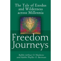 Freedom Journeys: The Tale of Exodus and Wilderness across Millennia