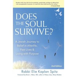 Does the Soul Survive? (2nd Edition): A Jewish Journey to Belief in Afterlife,  Past Lives & Living with Purpose