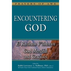 Encountering God: El Rachum V'chanun—God Merciful and Gracious