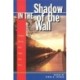 In the Shadow of the Wall: Vietnam Stories That Might Have Been
