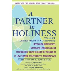 A Partner in Holiness Vol 2: Leviticus-Numbers-Deuteronomy