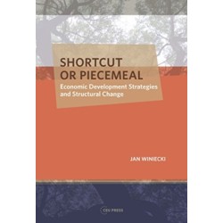 Shortcut or Piecemeal: Economic Development Strategies and Structural Change