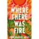 Where There Was Fire